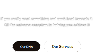 Our services