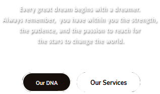 Our services